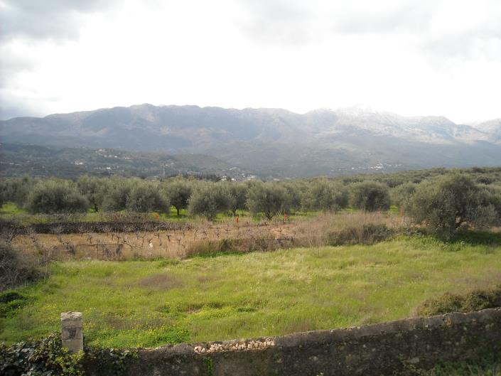 Image No.8-5 Bed House/Villa for sale