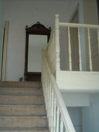DSCN1904