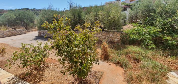 Image No.17-Villa / Détaché de 2 chambres à vendre à Neo Chorio