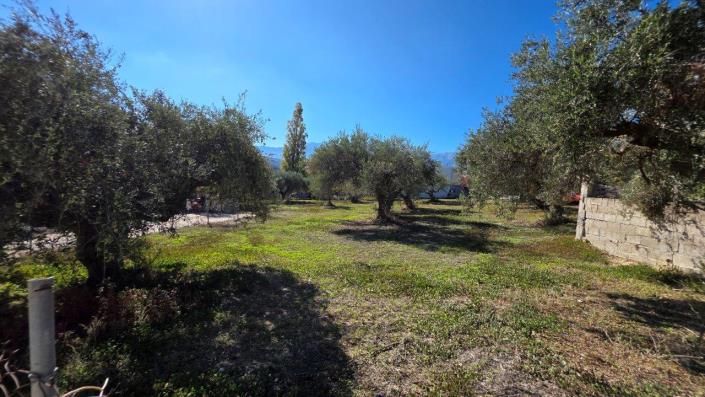 Image No.4-Land for sale