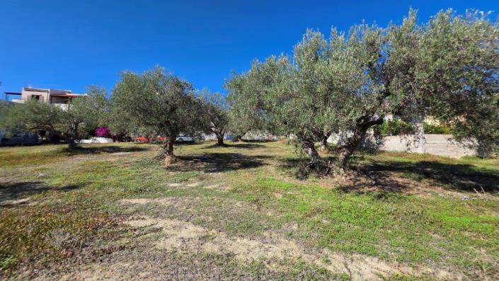 Image No.7-Land for sale