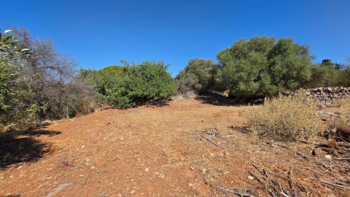 Image No.14-3 Bed Village House for sale