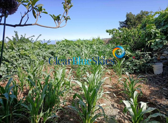 Image No.13-1 Bed Farmhouse for sale