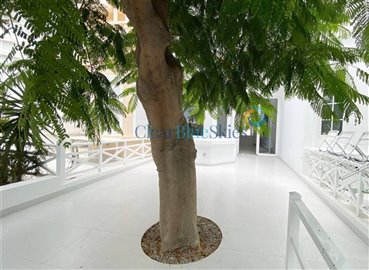 6815ufhlcls7lq