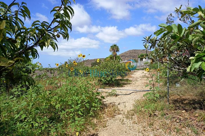 Image No.13-4 Bed Finca for sale