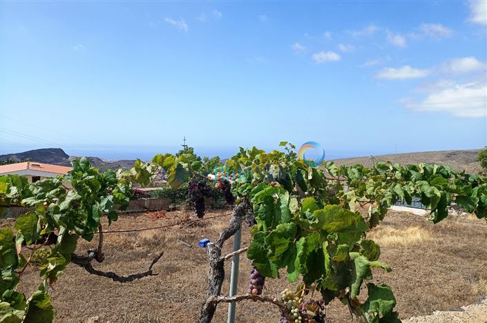 Image No.14-4 Bed Finca for sale