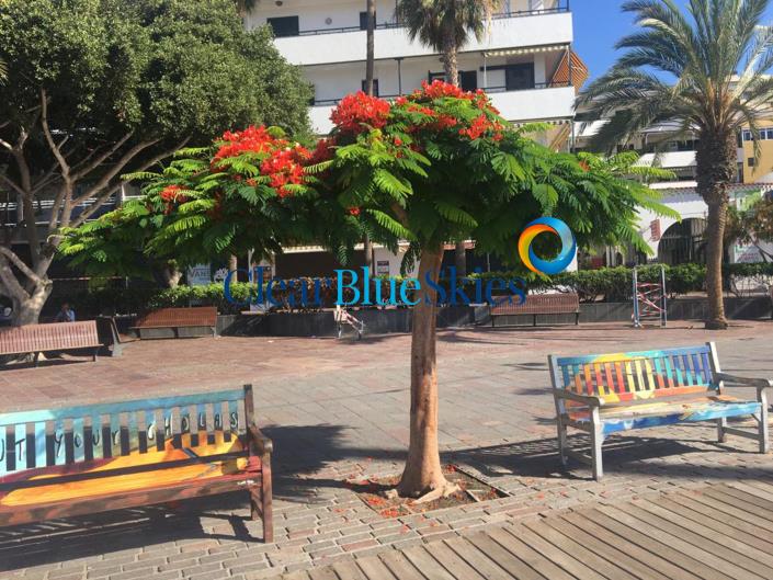 Image No.19-4 Bed Villa / Detached for sale