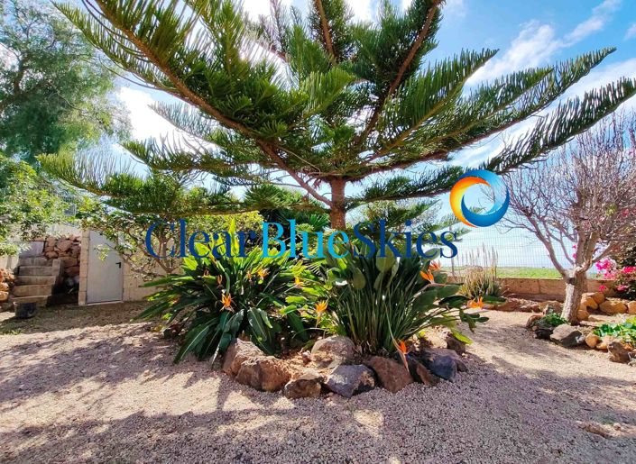 Image No.12-Ferme de 6 chambres à vendre à San Miguel De Abona