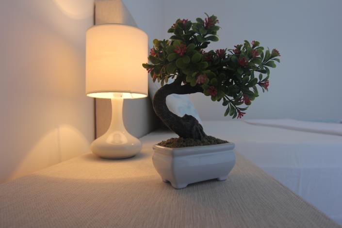 Image No.13-1 Bed Apartment for sale