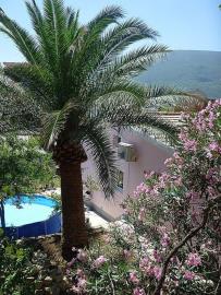 Maison de 1 chambre à vendre à Herceg Novi