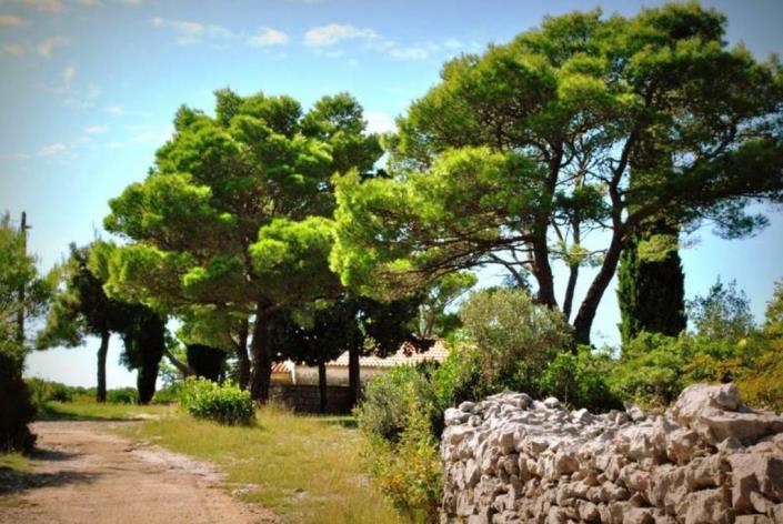 Image No.27-Maison de 4 chambres à vendre à Tivat