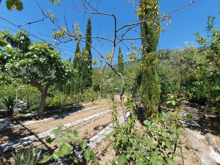 Image No.11-Maison de 3 chambres à vendre à Tivat