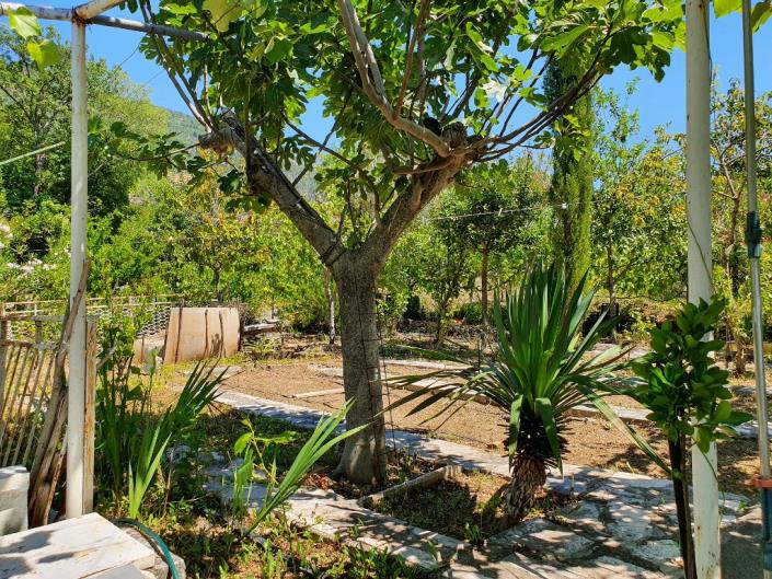 Image No.10-Maison de 3 chambres à vendre à Tivat