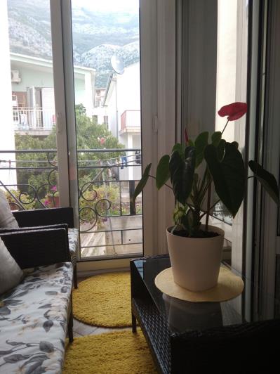 Image No.7-1 Bed Apartment for sale