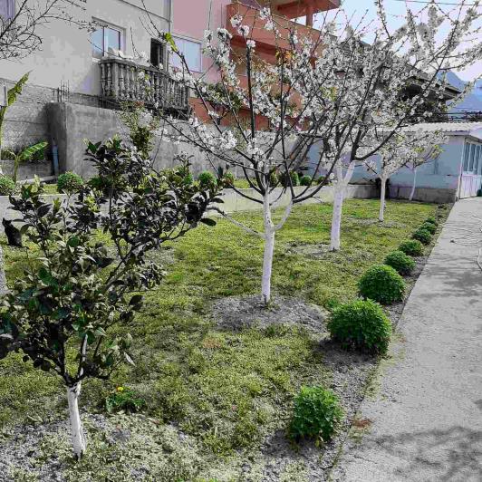 Image No.12-Maison de 3 chambres à vendre à Bar