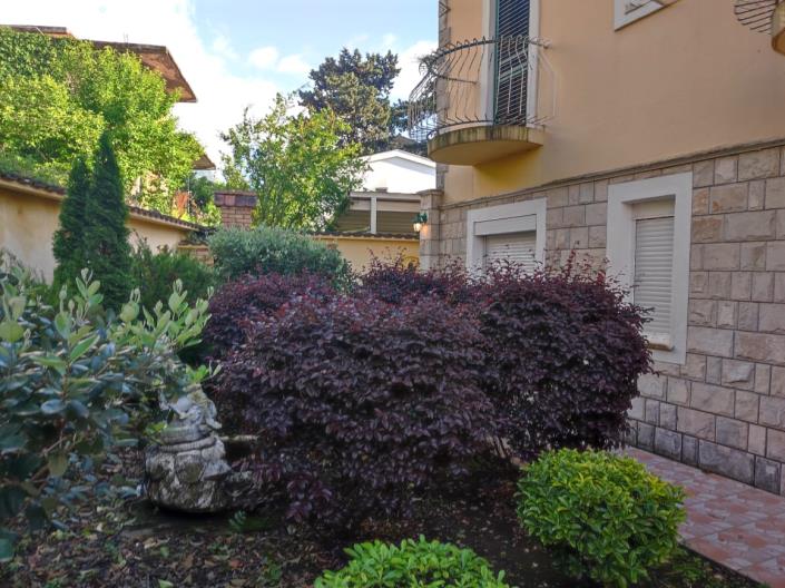 Image No.6-Maison de 4 chambres à vendre à Kotor