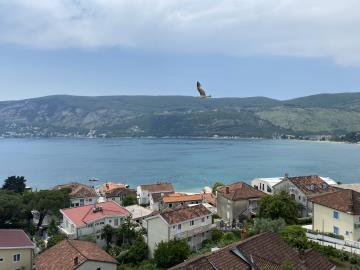 Appartement de 1 chambre à vendre à Herceg Novi