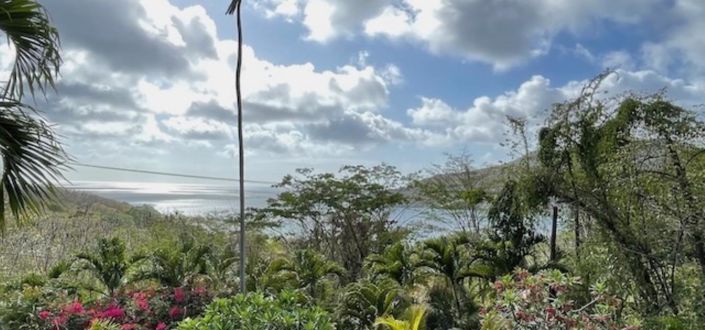 Image No.8-Propriété de 3 chambres à vendre à Bequia