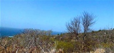 Mount Pleasant Residential Land Image 1