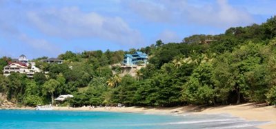 A Shade of Blues Image 8