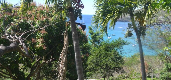 Image No.10-Propriété à vendre à Lower Bay