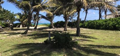 Palm Island Beachfront Land Image 5