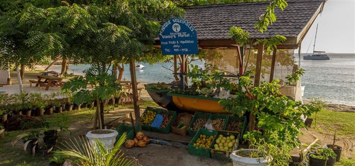 Image No.4-Propriété de 8 chambres à vendre à Mustique