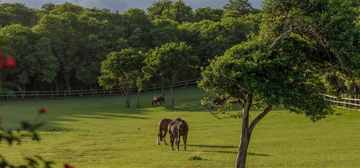 Image No.5-Propriété de 8 chambres à vendre à Mustique