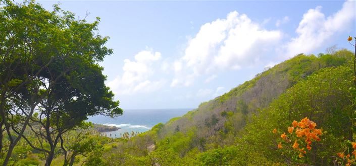 Image No.2-Property for sale