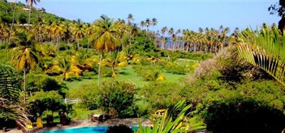 Firefly Hotel and 12.4 Acre Estate Bequia Image 4