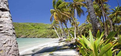 Firefly Beachfront Land Bequia Image 2