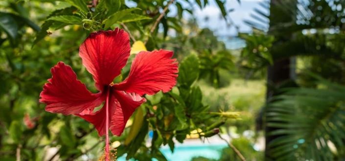 Image No.2-6 Bed Property for sale