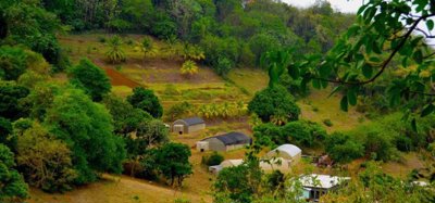 David Estate House and 8 Acres of Fertile Land Image 3