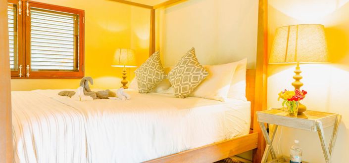 Image No.10-Propriété de 5 chambres à vendre à Spring