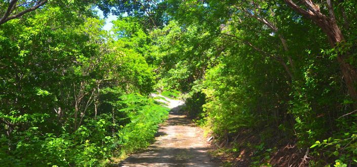 Image No.8-Property for sale