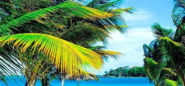 Image No.6-Propriété à vendre à Canouan