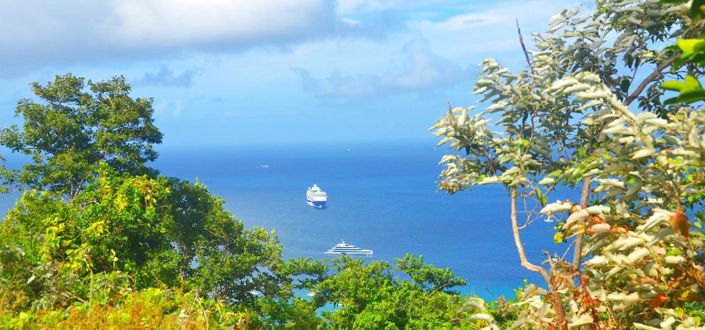 Image No.3-Propriété à vendre à Bequia