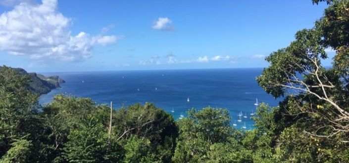 Image No.5-Propriété à vendre à Bequia