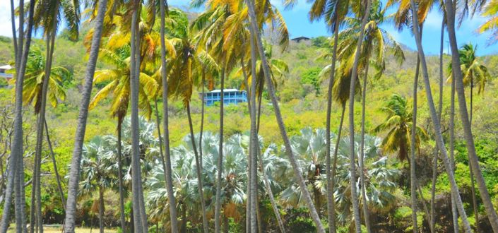 Image No.10-3 Bed Property for sale