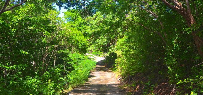 Image No.5-Property for sale