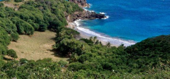 Image No.3-Propriété à vendre à Bequia