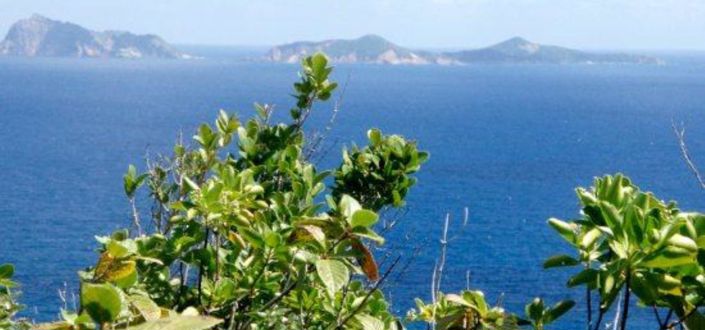 Image No.4-Propriété à vendre à Bequia