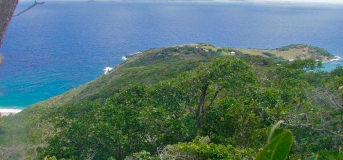 Image No.5-Propriété à vendre à Bequia