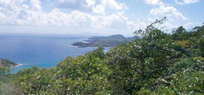 Image No.6-Propriété à vendre à Bequia