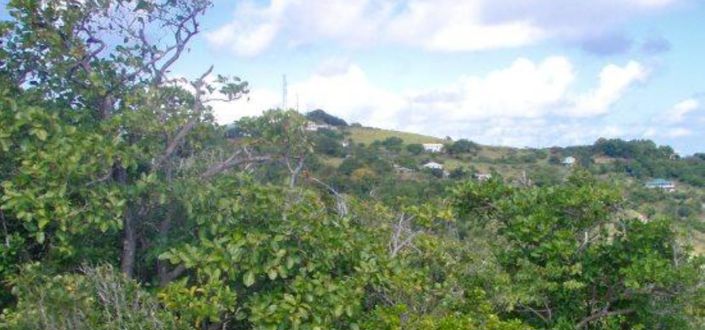 Image No.7-Propriété à vendre à Bequia