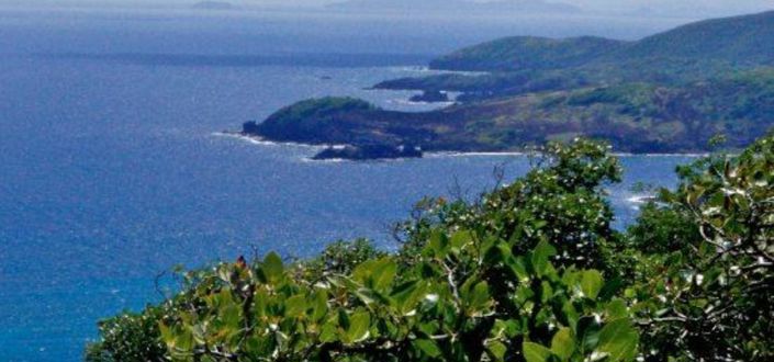 Image No.8-Propriété à vendre à Bequia