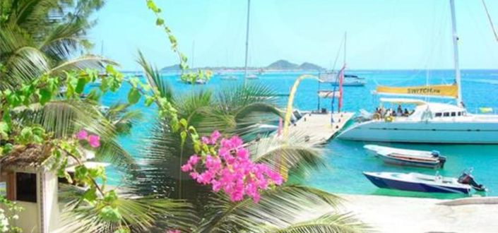 Image No.5-Propriété de 14 chambres à vendre à Union Island