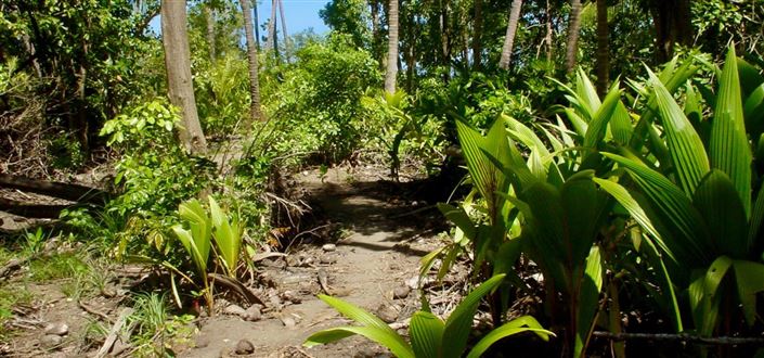 Image No.6-Propriété à vendre à Richmond Bay