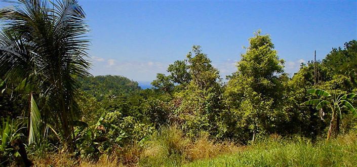 Image No.8-Propriété à vendre à Richmond Bay