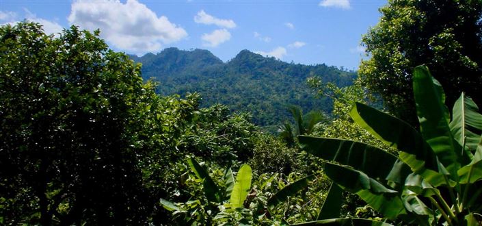 Image No.9-Propriété à vendre à Richmond Bay